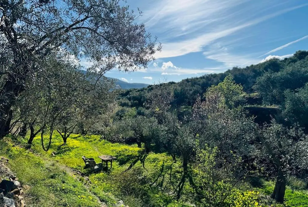 Holiday home Almond Hill House Villa Orgiva